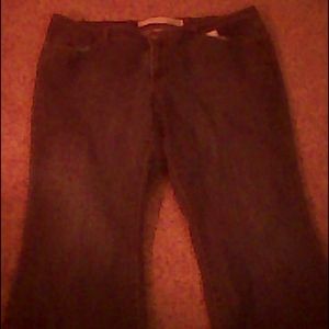 Venezia Flare Petite Jeans